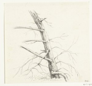 Studium drzewa autorstwa Jean Bernard