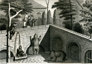 Jaskinia niedźwiedzia w zoo autorstwa Jean Charles Werner