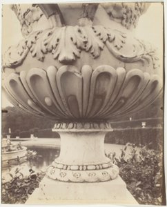 Wersal, wazon autorstwa Jean Eugène Auguste Atget