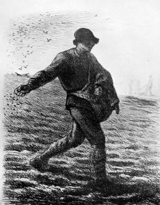 Siewca, ok. 1850, 1913. autorstwa Jean Francois Millet