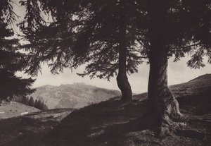 Rigi Staffel, spacer w pobliżu Staffel (zdjęcie czarno-białe) autorstwa Jean Gaberell