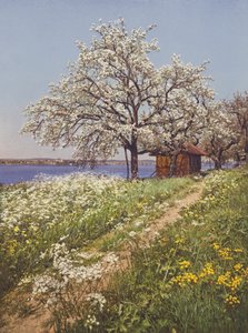 Szwajcaria: maj-czas (kolorowe zdjęcie)