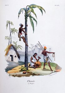Chanar, 1828 autorstwa Jean Henri Marlet