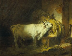 Biały Byk w Stajni