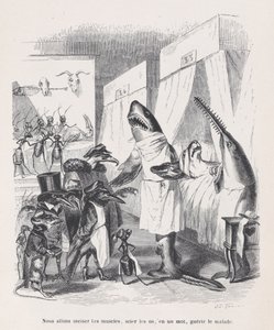 Zamierzamy naciąć mięśnie, zobaczymy kości, słowem uzdrowimy chorych z Sc..., ok. godz. 1837-47. autorstwa Jean Ignace Isidore Gérard