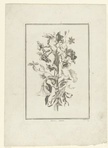 Bukiet narcyzów i powój Narcyz, Volubilis (tytuł na obiekcie) IIe Cahier de Bouquets (tytuł serii) autorstwa Jean Jacques Avril (I)
