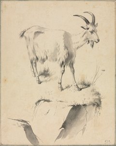 Studium kozy, XVIII wiek. autorstwa Jean Jacques de Boissieu
