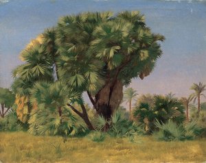 Studium palm autorstwa Jean Leon Gerome