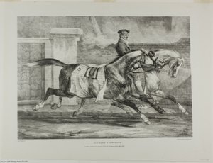 Ćwiczące konie, płyta 6 z różnych tematów narysowanych z życia i na kamieniu (The English Suite) autorstwa Jean Louis André Théodore Géricault
