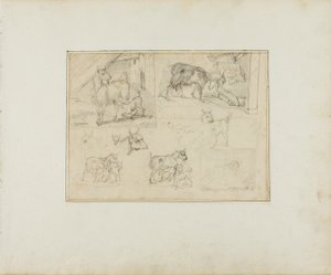 Szkice kóz autorstwa Jean Louis André Théodore Géricault