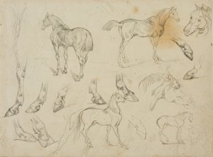 Szkice konia autorstwa Jean Louis André Théodore Géricault