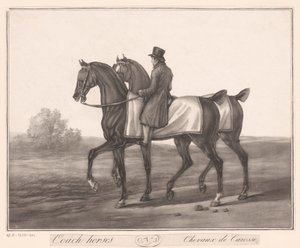 Jeździec towarzyszy dwóm koniom Chevaux de Carosse (tytuł na obiekcie) autorstwa Jean Louis Darcis (attributed to)