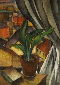 Aspidistra, ok. 1912 (olej na płótnie)
