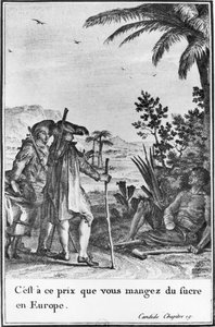 „Za tę cenę jesz cukier w Europie”, ilustracja z rozdziału 19 „Kandyda” Francois Voltaire (1694-1778) rycina Pierre Charles Baquoy (1759-1829) 1787 (rycina) (zdjęcie czarno-białe)