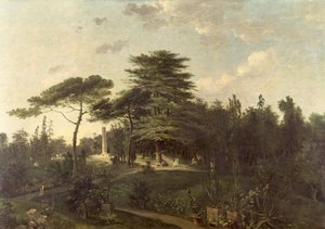 Cedr Libanu w Jardin des Plantes