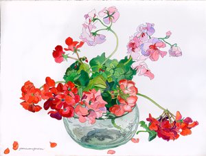 Geraniums at Ease in Glass Bowl (akwarela i tusz na papierze) autorstwa Jean Swan Gordon