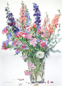 Ranunculus, Godetia, Delphiniums, 2000 (akwarela i tusz na papierze)