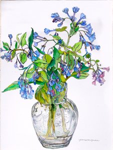 Virginia Blue Bells in Narrow Necked Vase, 2006 (akwarela i tusz na papierze)