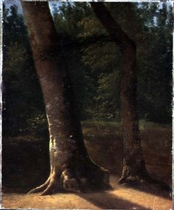 Studium drzew, ok. 1815 (olej na papierze) autorstwa Jean Victor (attr. to) Bertin