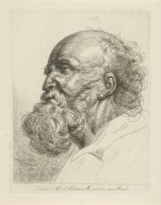 Portret starca z brodą