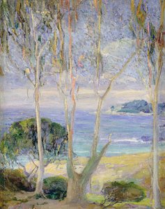 A Clear Day, California Coast, c.1918 (olej na płótnie) autorstwa Jennie Vennerstrom Cannon