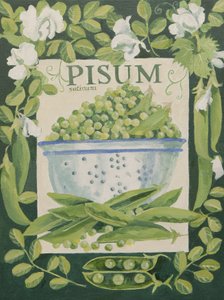 Pisum, Groch (akryl) autorstwa Jennifer Abbott