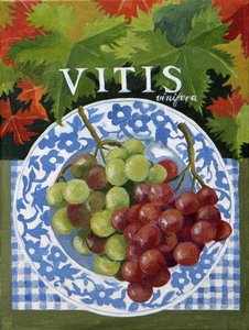 Vitus (winogrona), 2014 (akryl na płótnie) autorstwa Jennifer Abbott