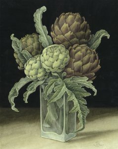 Karczoch