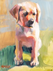 Hank autorstwa Jenny Westenhofer