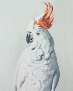  autorstwa Jenny Westenhofer