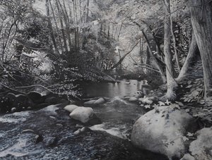 Riverscapes, 2024 (olej na płótnie) autorstwa Jerome Glomaud