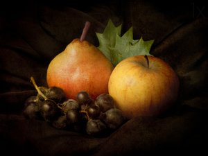 Martwa natura „Mroczne żniwa” autorstwa Jerome Zakka Bajjani