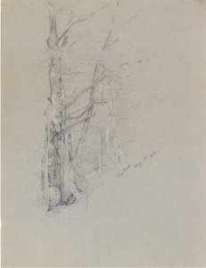 Suchy potok, 1888.