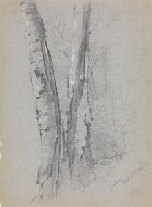 Studium skrybów pni brzozowych”, 1869. autorstwa Jervis McEntee