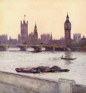Houses of Parliament (kolorowa litografia)