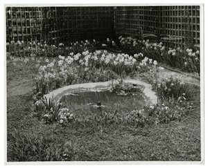 Garden of Mr & Mrs Wm H Wells 265 W 11th St, Nowy Jork, USA autorstwa Jessie Tarbox Beals