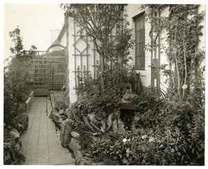Ogród pani Reginy Jais, ok. 1936-37 (zdjęcie żelatynowo-srebrowe) autorstwa Jessie Tarbox Beals