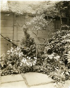 Mr & Mrs John Morgan, 39 W 11 St, Greenwich Village, Nowy Jork, USA, ok.1939-40 (zdjęcie żelatynowo-srebrowe) autorstwa Jessie Tarbox Beals