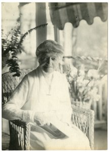 Pani L D James z Williamsburga w Massachusetts, siostra Marshalla Fielda, ok. 1905-28 (zdjęcie żelatynowe) autorstwa Jessie Tarbox Beals