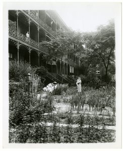 Ogrody Rhinelander House, W 11th St , Greenwich Village, Nowy Jork, USA, ok. 1905-38 (zdjęcie żelatynowo-srebrowe) autorstwa Jessie Tarbox Beals