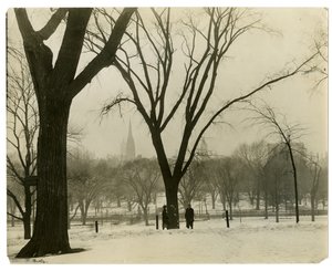 The Common, Boston, USA, ok.1902-10 (zdjęcie żelatynowo-srebrowe) autorstwa Jessie Tarbox Beals