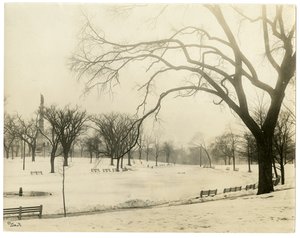 The Common, Boston, USA, ok.1902-10 (zdjęcie żelatynowo-srebrowe) autorstwa Jessie Tarbox Beals