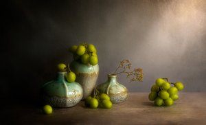  autorstwa Jie Fischer
