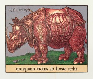 Red Rhino, 2007 (puupiirros)kiillotus autorstwa Jim Monson