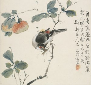 Chiński Hwamei jedzący konika polnego, 1857