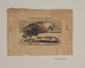 Orzeł autorstwa Joakim Frederik Skovgaard