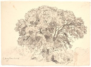 Badanie drzew. Ogród Classena autorstwa Joakim Frederik Skovgaard