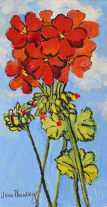 Geranium Spray,2017, (akryl) autorstwa Joan Thewsey