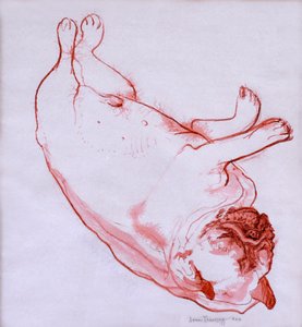 Hogarth Sleeping, 2005, (tusz na mokrym papierze) autorstwa Joan Thewsey