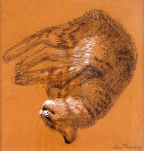 Śpiący kot pręgowany,2005,(grafitowo-biały pastel) autorstwa Joan Thewsey